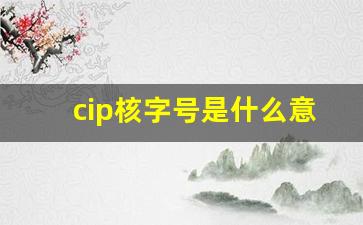 cip核字号是什么意思_cip编号 统一书号